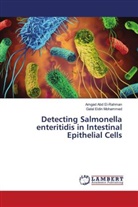 Amgad Abd El-Rahman, Galal Eldin Mohammed - Detecting Salmonella enteritidis in Intestinal Epithelial Cells