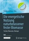 Thoma Herlitzius, Thomas Herlitzius - Die energetische Nutzung naturbelassener fester Biomasse