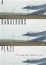 Chelsea B. DesAutels - A Dangerous Place