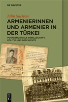 Talin Suciyan, Jörg Heinemann, Sibel Türker - Armenierinnen und Armenier in der Türkei