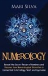 Mari Silva - Numerology