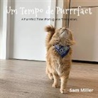Sam Miller - Um Tempo de Purrrfact