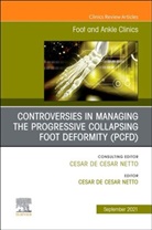 Cesar de Cesar Netto, Cesar de Cesar Netto - Controversies in Managing the Progressive Collapsing Foot Deformity (PCFD), An issue of Foot and Ankle Clinics of North America