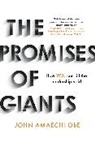 John Amaechi, Amaechi John - The Promises of Giants