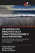 Rui W Krause, Rui W. Krause, Bhekie B Mamba, Bhekie B. Mamba, Thabo Nkambule - UN APPROCCIO ANALITICO ALLA CARATTERIZZAZIONE E ALLA RIMOZIONE
