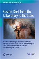 Jürge Blum, Jürgen Blum, Hsiang-Wen Hsu, Hsiang-Wen Hsu et al, Detlef V. Koschny, Anny-Chantal Levasseur-Regourd... - Cosmic Dust from the Laboratory to the Stars