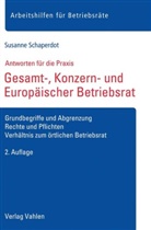 Susanne Schaperdot, Stephani Kaufmann-Jirsa, Stephanie Kaufmann-Jirsa - Gesamt-, Konzern- und Europäischer Betriebsrat