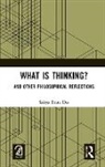 Saitya Brata Das, Das Saitya Brata - What Is Thinking?