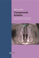 Marcus Pilz - Transparente Schätze