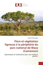 Evaliste Rémi Jiagho - Flore et végétation ligneuse à la périphérie du parc national de Waza (Cameroun)