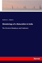 Andrew L. Adams - Wanderings of a Naturalists in India