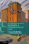 Ilias Stein Bantekas, Ilias Bantekas, Bantekas Ilias, Michael Ashley Stein, Stein Michael Ashley - Cambridge Companion to Business and Human Rights Law