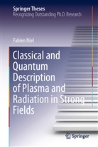 Fabien Niel - Classical and Quantum Description of Plasma and Radiation in Strong Fields