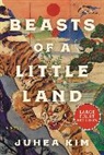Juhea Kim - Beasts of a Little Land