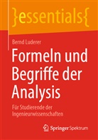 Bernd Luderer - Formeln und Begriffe der Analysis