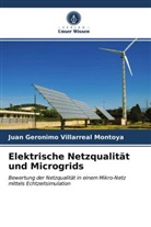 Juan Geronimo Villarreal Montoya - Elektrische Netzqualität und Microgrids