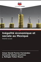 Armando Ibáñez Martínez, J. Refugio Tobar Reyes, César David Torres Fernández - Inégalité économique et sociale au Mexique