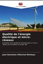 Juan Geronimo Villarreal Montoya - Qualité de l'énergie électrique et micro-réseaux
