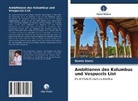 Ramiz Daniz - Ambitionen des Kolumbus und Vespuccis List