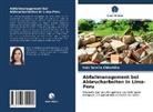Inés Sevilla Chinchilla - Abfallmanagement bei Abbrucharbeiten in Lima-Peru