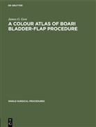 James G. Gow - A Colour Atlas of Boari Bladder-Flap Procedure