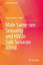 The Sandfort, Theo Sandfort - Male Same-sex Sexuality and HIV in Sub-Saharan Africa