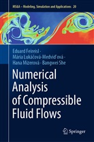 Eduar Feireisl, Eduard Feireisl, Mária Luká¿ová-Medvi¿ová, Mári Lukácová-Medvidová, Mária Lukácová-Medvidová, Mizerov... - Numerical Analysis of Compressible Fluid Flows