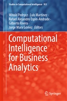 Rafa Alejandro Espin Andrade et al, Rafa Alejandro Espin-Andrade et al, Rafael Alejandro Espin Andrade, Rafael Alejandro Espin-Andrade, Lui Martínez, Luis Martínez... - Computational Intelligence for Business Analytics