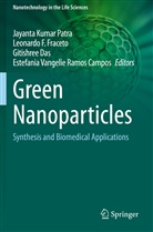 Estefânia Vangelie Ramos Campos, Gitishree Das, Gitishree Das et al, Leonard F Fraceto, Leonardo F Fraceto, Leonardo F. Fraceto... - Green Nanoparticles