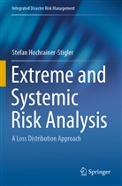 Stefan Hochrainer-Stigler - Extreme and Systemic Risk Analysis