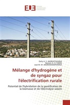 José M. M. Andriamampianina, Dolly A. S. Andriatoavina, Damien A. H. Fakra - Mélange d'hydrogène et de syngaz pour l'électrification rurale
