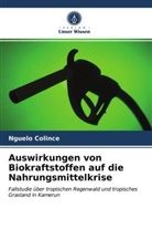 Nguelo Colince - Auswirkungen von Biokraftstoffen auf die Nahrungsmittelkrise