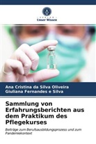Ana Cristin da Silva Oliveira, Ana Cristina Da Silva Oliveira, Fernandes e Silva, Giuliana Fernandes e Silva - Sammlung von Erfahrungsberichten aus dem Praktikum des Pflegekurses