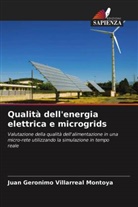 Juan Geronimo Villarreal Montoya - Qualità dell'energia elettrica e microgrids
