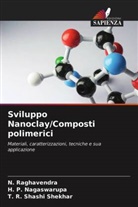H. P. Nagaswarupa, N. Raghavendra, T. R. Shashi Shekhar - Sviluppo Nanoclay/Composti polimerici