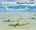 Thomas Peschak, Thomas P Peschak, Thomas P. Peschak, Thomas P Peschsk - Wild Seas