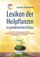 Carina Zinkeisen - Lexikon der Heilpflanzen in pandemischen Zeiten
