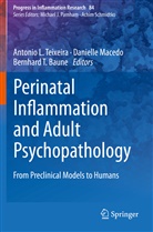 Bernhard T. Baune, Daniell Macedo, Danielle Macedo, Bernhard T Baune, Antonio L. Teixeira - Perinatal Inflammation and Adult Psychopathology