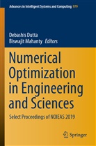 Debashi Dutta, Debashis Dutta, Mahanty, Mahanty, Biswajit Mahanty - Numerical Optimization in Engineering and Sciences