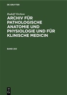 Rudolf Virchow - Rudolf Virchow: Archiv für pathologische Anatomie und Physiologie und für klinische Medicin - Band 203: Rudolf Virchow: Archiv für pathologische Anatomie und Physiologie und für klinische Medicin. Band 203