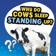 Nancy Dickmann,  Dickmann Nancy - Why Do Cows Sleep Standing Up?