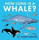 Alison Limentani - How Long Is a Whale?