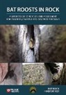 Bat Rock Habitat Key, Pelagic Publishing - Bat Roosts in Rock