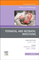 Joseph B. Cantey, SHANE, Joseph B. Cantey, Cantey Joseph B., Andi Shane - Perinatal and Neonatal Infections, An Issue of Clinics in Perinatology