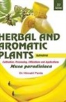 Himadri Panda - HERBAL AND AROMATIC PLANTS - 27. Musa paradisiaca (Banana)