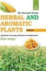 Himadri Panda - HERBAL AND AROMATIC PLANTS - 39. Zea mays (Maize)