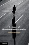 Mark Swatek-Evenstein - History of Humanitarian Intervention