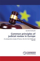 Ziya Bekir Bu¿Uçam, Ziya Bekir BUGUÇAM - Common principles of judicial review in Europe