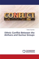 Fiseha Tayachew - Ethnic Conflict Between the Amhara and Gumuz Groups