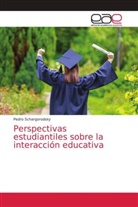 Pedro Schargorodsky - Perspectivas estudiantiles sobre la interacción educativa